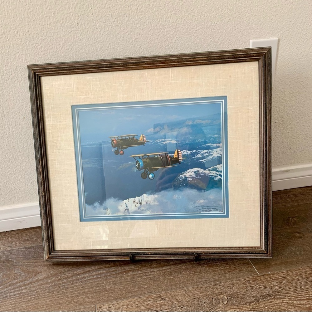 “Springtime Flying In The Rockies” Singled & Framed Print 17/20 Inch